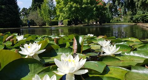SALMON PONDS HERITAGE HATCHERY AND GARDENS (2026) All You Need to Know ...