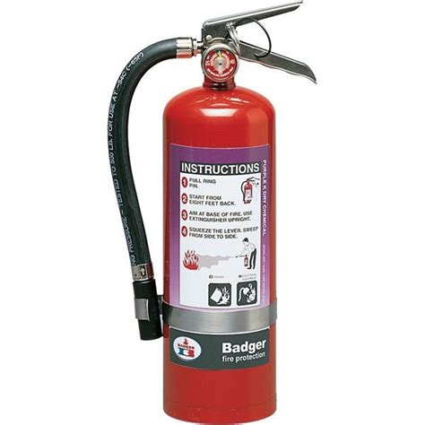 Badger Extra 5 lb Purple K Fire Extinguisher w/ Wall Hook - 23488 ...