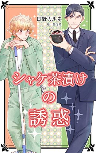 A Temptation of Salmon Chazuke (Hijiki Hino Bookstore) (Japanese ...