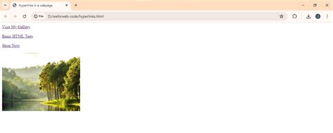 Image result for How to Hyperlink a Folder in HTML