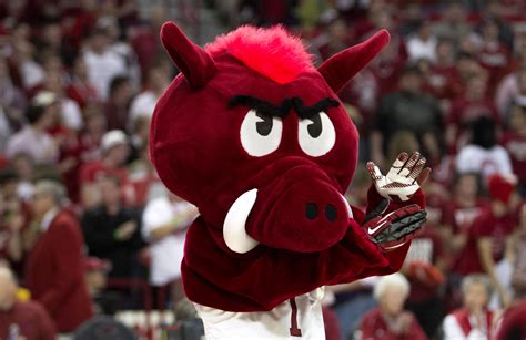 Ranking the NCAA Tournament team mascots, 68-1 - WTOP News
