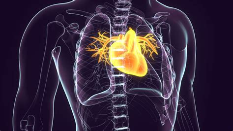 Cardiopulmonary Services - Sidney Regional Medical Center