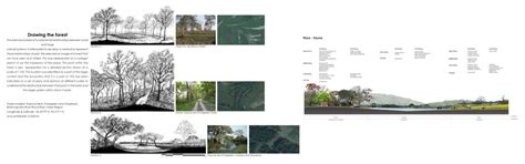 Forest Floor | CEPT - Portfolio