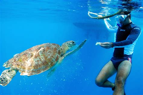 旅游 的图像结果