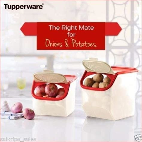 Buy Tupperware Access Mate Potato & Onion Keeper (3L & 5.5L) Set of 2 ...