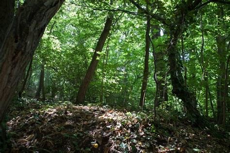 15 Best hikes in Paris: Exploring Paris on foot!