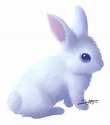 Image result for Soft Fluffy Bunny