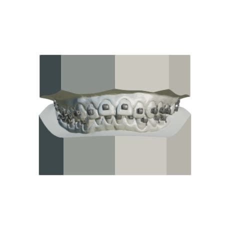 p3d.in - 刘天宇's lair