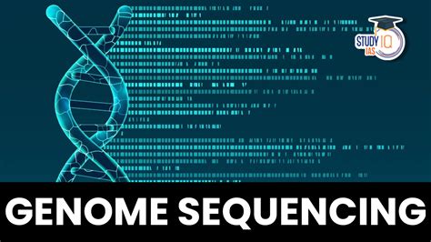 Image result for Genome Sequencing Technology
