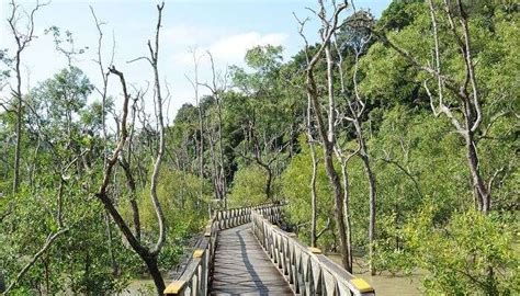 23 Best Things To Do In Kuching Malaysia One Cannot Miss In 2026!