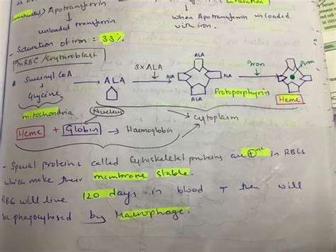 Iron deficiency anaemia Flashcards | Quizlet