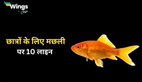 Nari Sashaktikaran Essay in Hindi: जानिए नारी सशक्तीकरण पर निबंध हिंदी ...