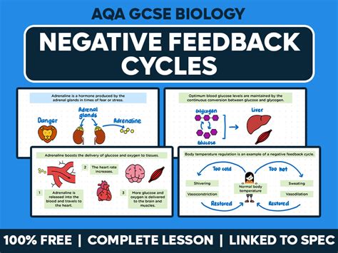 Image result for 4 Components of a Negative Feedback