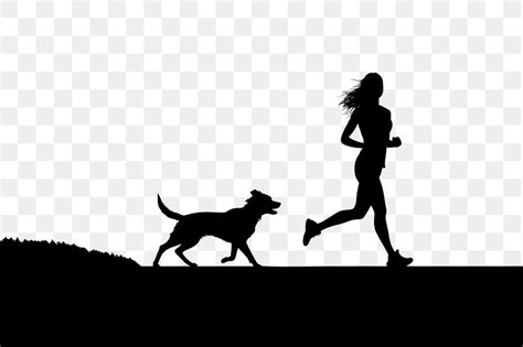 Exercise Border 的图像结果