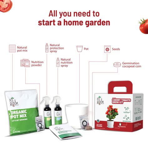 Cherry Tomato Grow Kit – Ugaoo