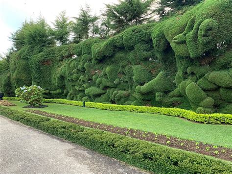 GRAND REST NUWARAELIYA (Nuwara Eliya) - Guesthouse Reviews & Photos ...