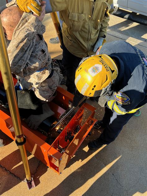 Image result for Rigging Randomizer