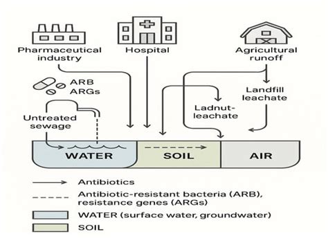 The Role of the Environment (Water, Air, Soil) in the Emergence and ...
