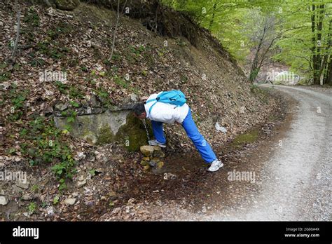 Mountain Spring Water NC 的图像结果