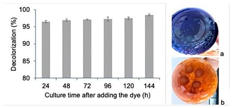 Characterization of the Enzymatic and Biosorption Processes Involved in ...