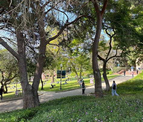 UCLA summer sessions — ASUCLA