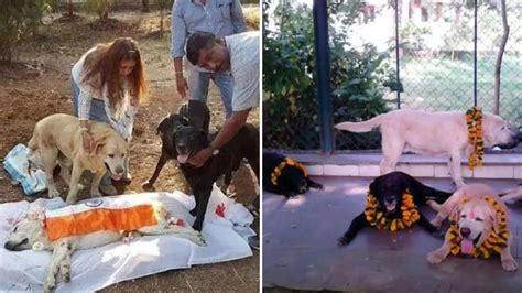 Unsung K9 Heroes Of 26/11 Mumbai Terror Attacks: Remembering Max ...