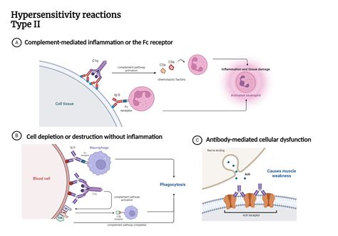 Make scientific figures in minutes using existing templates.