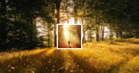 Obituary Galleries | Bruce Harmon Nester of Laurel Fork | Vaughan-Guynn ...