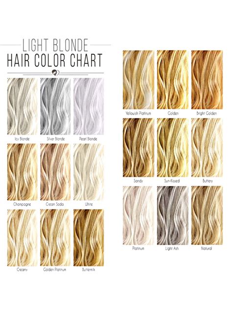 Blonde Hair Color Chart Drawing at Jeffrey Boutte blog
