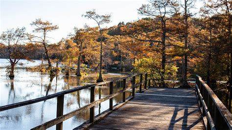 Wall Doxey State Park | Mississippi Department of Wildlife, Fisheries ...
