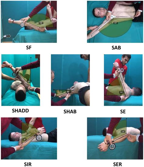 Shoulder Horizontal Abduction And Adduction