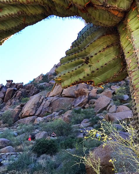 Elevation of Boulders Resort & Spa Scottsdale, Curio Collection by ...