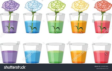 Image result for Color Changing Experiment