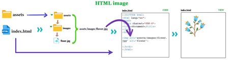 Image result for How to Make Image in HTML