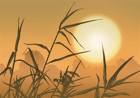 What is Environmental Art ? - Answered - Twinkl Teaching Wiki