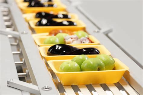 What Is Food Processing