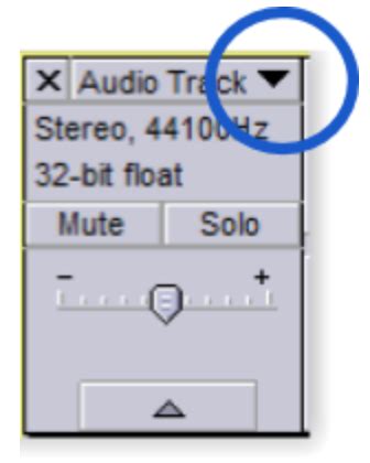 Image result for Basic Audacity Editing