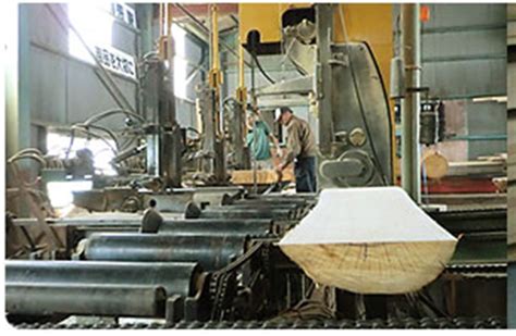 Image result for Lumbering Process