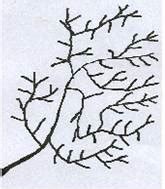 Integrated Watershed Management for Water & Food Security in Kolar and ...