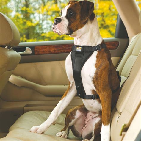 How To Fit A Dog Seatbelt Harness at June Weiss blog