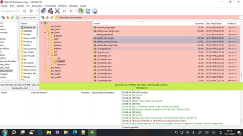 Install Webman Mod 的图像结果