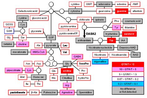 Changes in Primary and Secondary Metabolite Levels in Response to Gene ...
