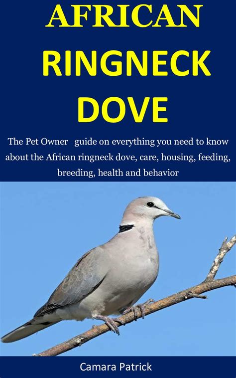 Buy African Ringneck Dove: The Pet Owner guide on everything you need ...