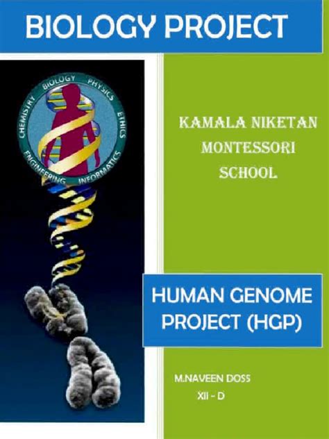 Image result for Human Genome Project Free Science Lessons
