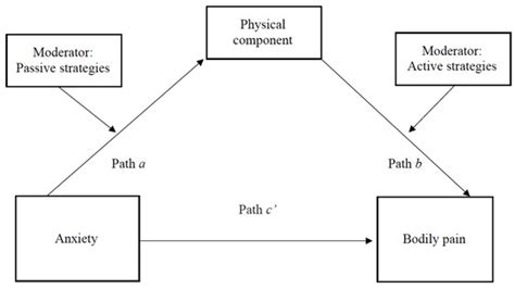 Anxiety and Bodily Pain in Older Women Participants in a Physical ...