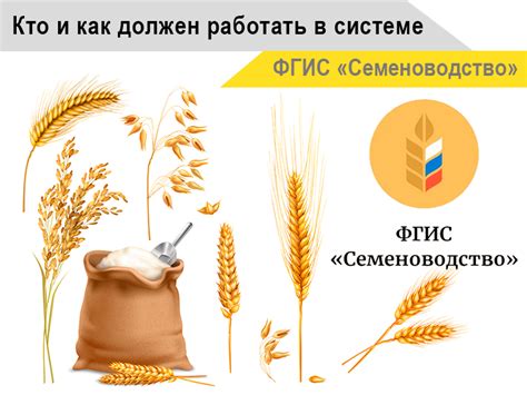 Работа в ФГИС «Семеноводство» - как подать заявку, зарегистрироваться и ...