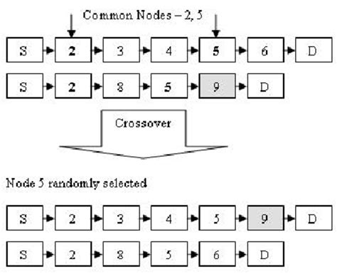 Crossover Tutorial 的图像结果