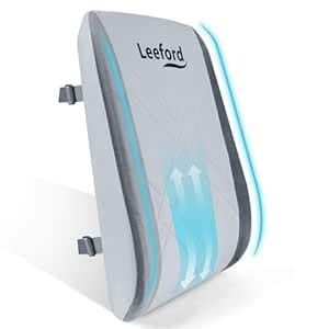 Leeford Ortho Back Rest for Lower Back Pain | Back Support | Easy ...