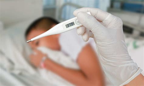 Delaying antibiotics for neutropenic fever may not affect survival of ...