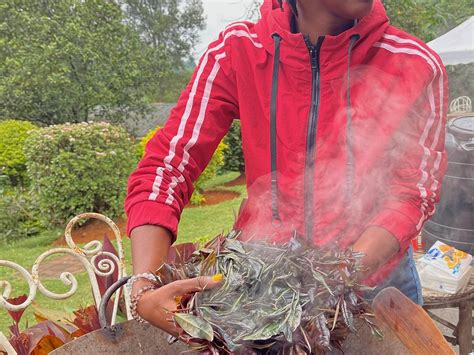 GATURA GREENS FARM (2025) All You Need to Know BEFORE You Go (with ...